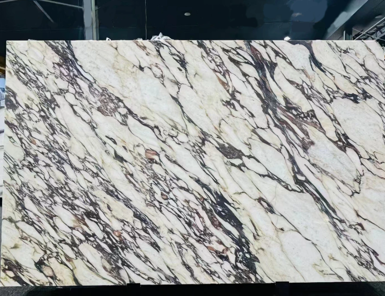 calacatta viola marble